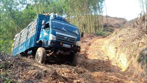 timxetai-nha-xe-tri-thuc-dai-hong-dai-loc-quang-nam-02