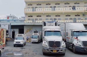 43-cong-ty-van-tai-hang-dong-lanh-quang-minh-binh-duong-timxetaivn-02