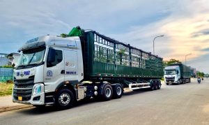 53-cong-ty-van-tai-tin-phat-quang-ngai-timxetaivn-01